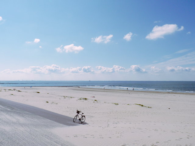 Foto des Dünendeckwerks am Südstrand