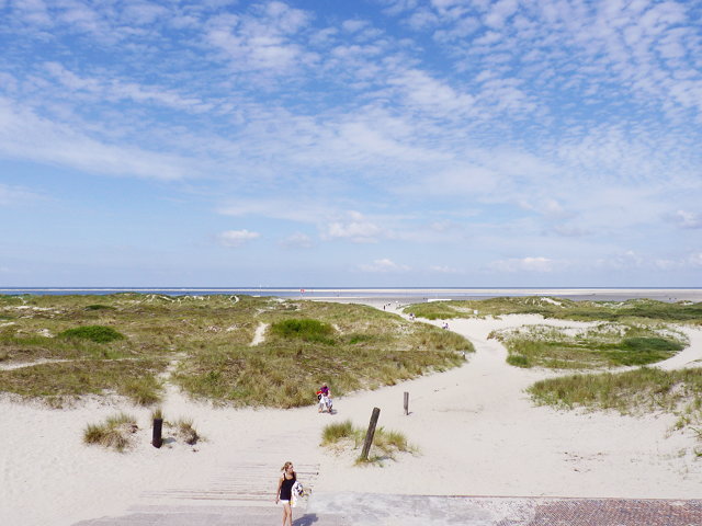 Foto der Dünenlandschaft am Nordstrand